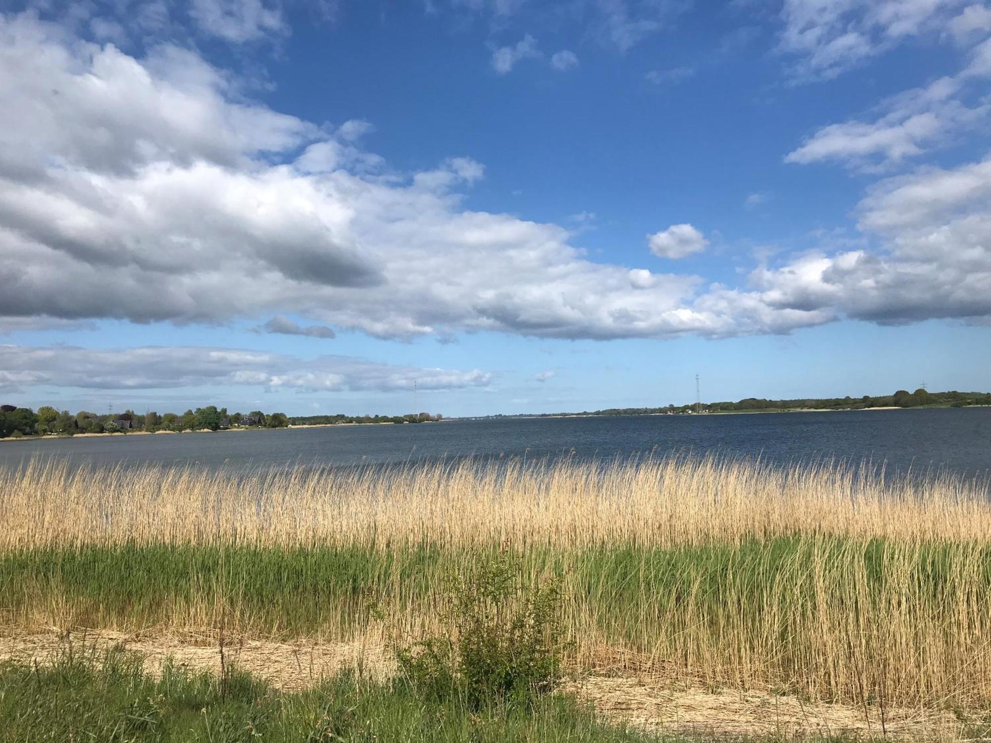 Strandgut Wackerballig Gelting Kültér fotó